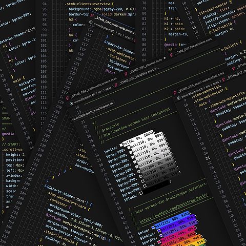 Excerpt from CSS code with color scheme and layout rules for individual, barrier-free web design.