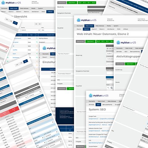 CMS interface view of mybluesun25 with structured content management, SEO functions and setting options for web content.