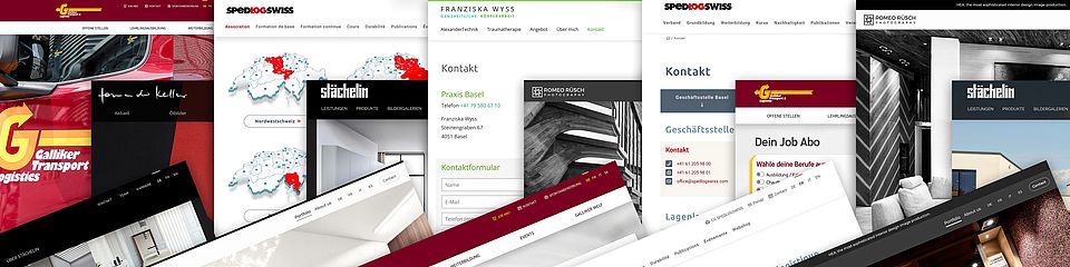 Collage mit Screenshots von Kunden-Websites – Beispiele für durchdachtes, visuell starkes und nutzerfreundliches Webdesign von Bluesun